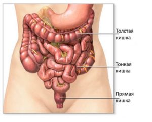 Симптомы и лечение выраженного пневматоза кишечника